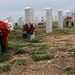 William Pegram Photo 19