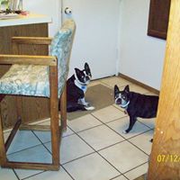 Dorothy Hamm Photo 3