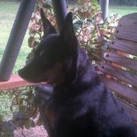 Cary Wyatt Photo 11