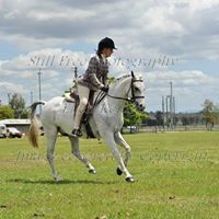 Lesa Hayes Photo 10