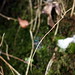 Jan Suggs Photo 5