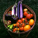 Martha Latham Photo 17