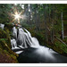 Gary Randall Photo 37