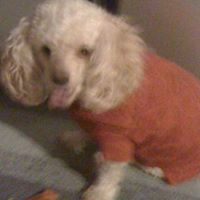 Melissa Thacker Photo 11