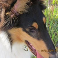 Sandy Nichols Photo 37