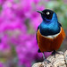 Elizabeth Starling Photo 21