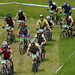 Bruce Stewart Photo 10