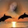 Lilly Robinson Photo 40