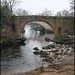 Dale Kirby Photo 21