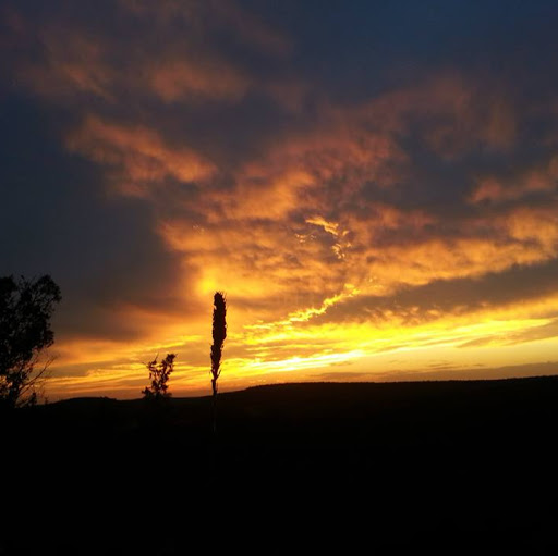 James Mccomb Photo 39