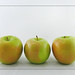 P E Photo 18
