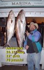 Martin Simmons Photo 15