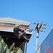 Neil Hendricks Photo 17