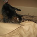 Tracy Gilbert Photo 26