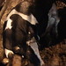 Clare Slaughter Photo 4