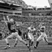 Jonathan Heinz Photo 16