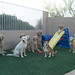 Sharon Latham Photo 28