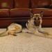 Kelli Shepherd Photo 13