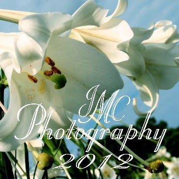 Jaclyn Campbell Photo 27