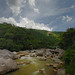 Yang Sin Photo 12