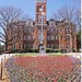 John Tillman Photo 11