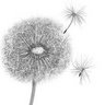 Joan Long Photo 26