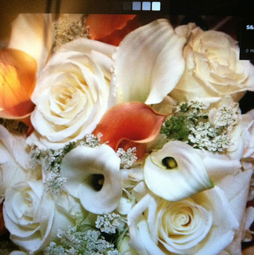 Sandi Rogers Photo 18