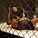 Brandon Terrel Photo 14