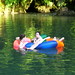 Deb Krause Photo 12
