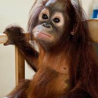 Ginger Howell Photo 6