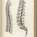 William Bone Photo 12