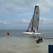 Robin Strickland Photo 6