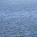 Jack Seals Photo 9