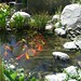 Larry Klein Photo 22