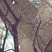 Judith Diaz Photo 16