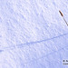 Timothy Snow Photo 36