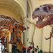 Rex Cross Photo 12