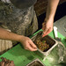 Hank Cook Photo 12