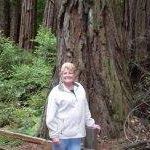 Suzanne Handler Photo 7