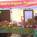 Leslie Nash Photo 17