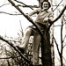 Carolyn Neal Photo 33