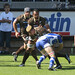 Jerry Collins Photo 8