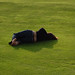 Sandra Montes Photo 31