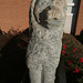 James Luckett Photo 37