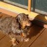 Carol Winston Photo 7