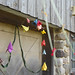 Shari Peterson Photo 29