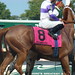 Mark Henning Photo 43