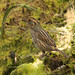 Allen Sharp Photo 14