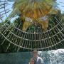 Michael Erb Photo 37