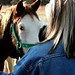 Sue Garrison Photo 34